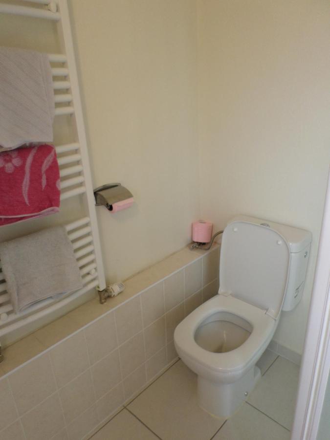 Studio-Appartement A Proximite D'Une Maison De Maitre De 1904 Haguenau Zewnętrze zdjęcie